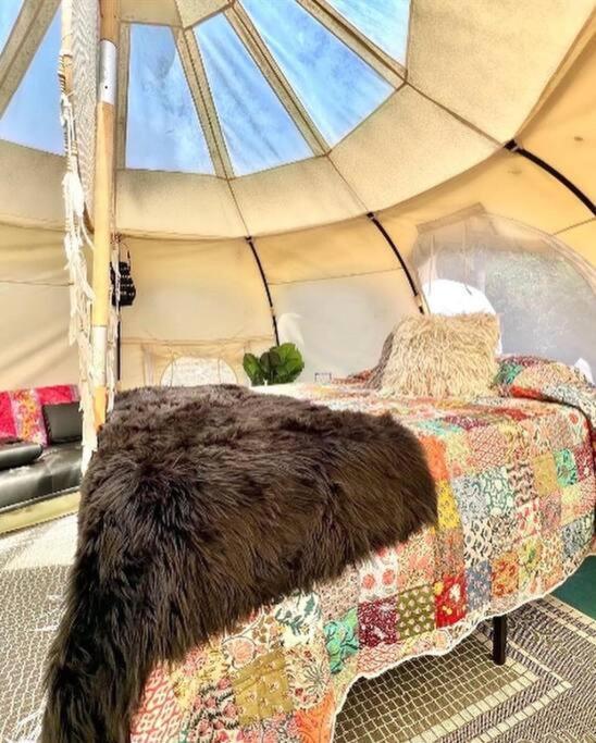 The Pisces-A Stargazing, Luxury Glamping Tent Rogersville Exterior foto