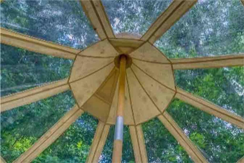 The Pisces-A Stargazing, Luxury Glamping Tent Rogersville Exterior foto