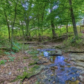 The Pisces-A Stargazing, Luxury Glamping Tent Rogersville Exterior foto